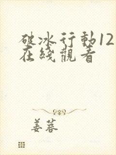 破冰行动12集在线观看