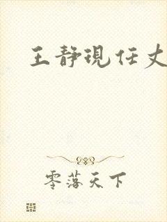 王静现任丈夫封面