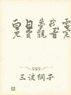 白日梦我电视剧免费观看完整版高清