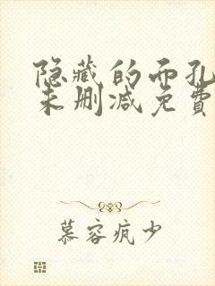 隐藏的面孔韩剧未删减免费在线观看