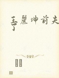 王丽坤前夫怎么了