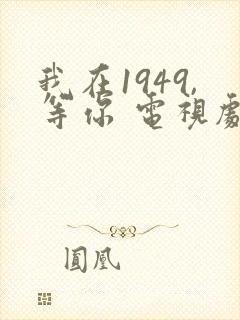 我在1949,等你 电视剧