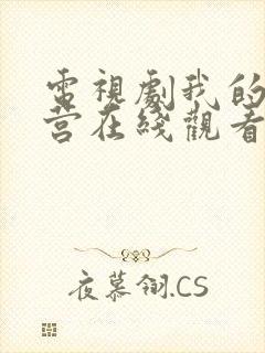 电视剧我的特一营在线观看封面