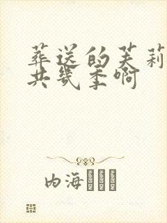 葬送的芙莉莲一共几季啊封面