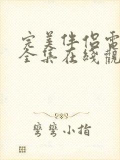 完美伴侣电视剧全集在线观看