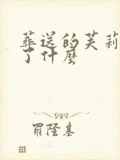 葬送的芙莉莲讲了什么封面