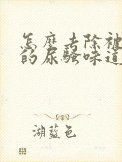 怎么去除被子上的尿骚味道封面
