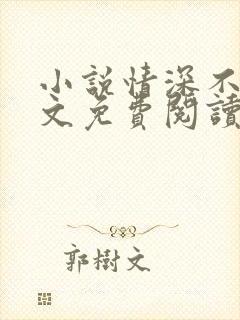 小说情深不负全文免费阅读