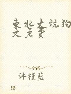 东北大炕狗儿全文免费