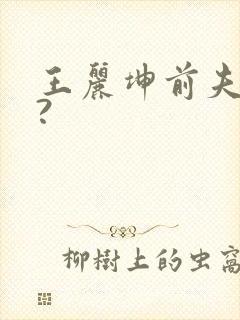 王丽坤前夫是谁?封面