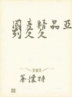 国产精品亚洲系列久久
