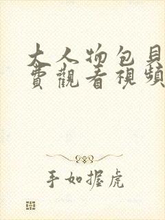 大人物包贝尔免费观看视频