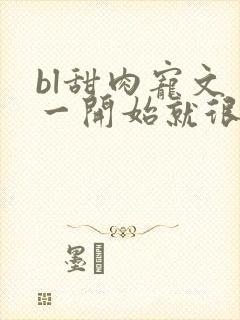 bl甜肉宠文 一开始就很宠封面