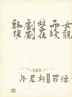 韩剧双面女人电视剧在线观看全集封面