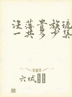 没落贵族琉璃川一共多少集