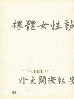 裸体女性动漫