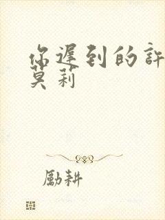 你迟到的许多年莫莉封面