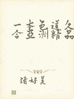 一本色道久久综合亚洲精品蜜臀