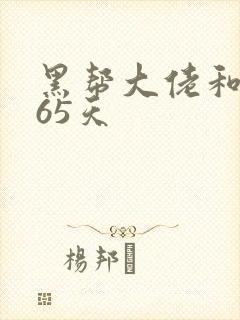 黑帮大佬和我365天