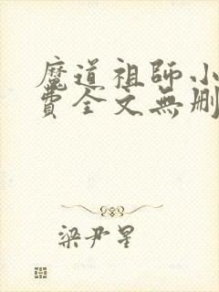 魔道祖师小说免费全文无删减阅读封面