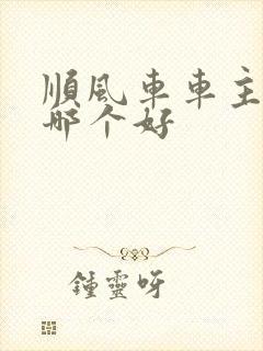 顺风车车主软件哪个好