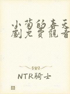小菊的春天电视剧免费观看