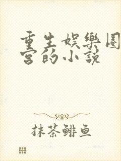 重生娱乐圈开后宫的小说