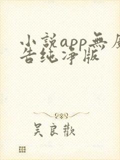 小说app无广告纯净版