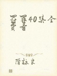 罚罪40集全免费看