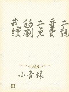 我的二哥二嫂连续剧免费观看