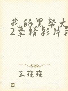 我的黑帮大佬第2季精彩片段