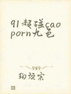 91超碰caoporn九色