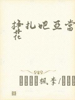 挣扎吧亚当君樱花