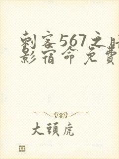 刺客567之暗影宿命免费观看