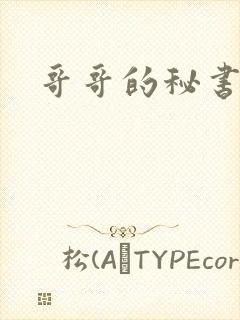 哥哥的秘书