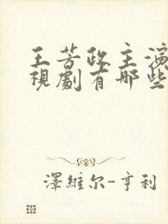 王芳政主演的电视剧有哪些