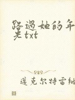 路过她的年少时光txt