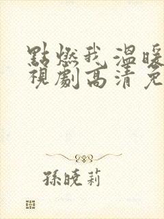 点燃我温暖你电视剧高清免费
