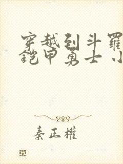 穿越到斗罗成为铠甲勇士 小说