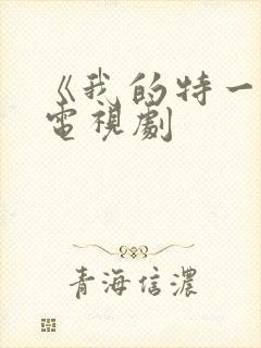 《我的特一营》电视剧封面