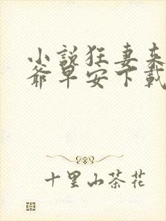 小说狂妻来袭九爷早安下载封面