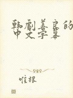 韩剧善良的嫂子中文字幕封面