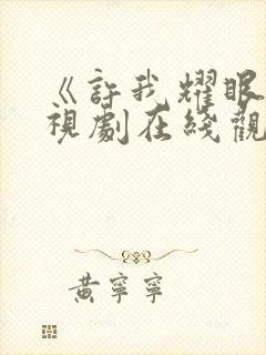 《许我耀眼》电视剧在线观看完整版高清