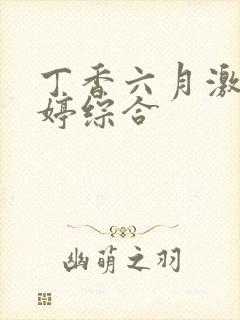 丁香六月激情婷婷综合