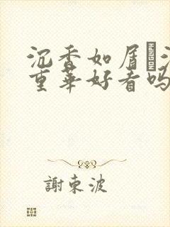 沉香如屑·沉香重华好看吗