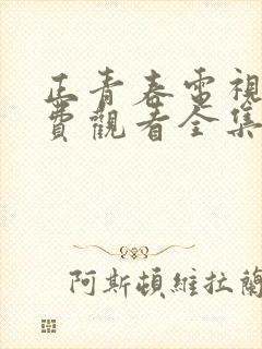 正青春电视剧免费观看全集策驰