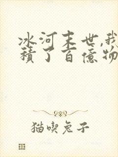 冰河末世,我囤积了百亿物资小说