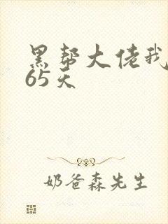 黑帮大佬我的365天