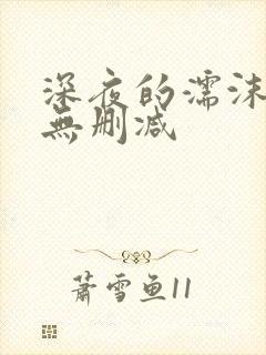 深夜的濡沫动漫无删减