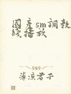 国产sm调教在线播放